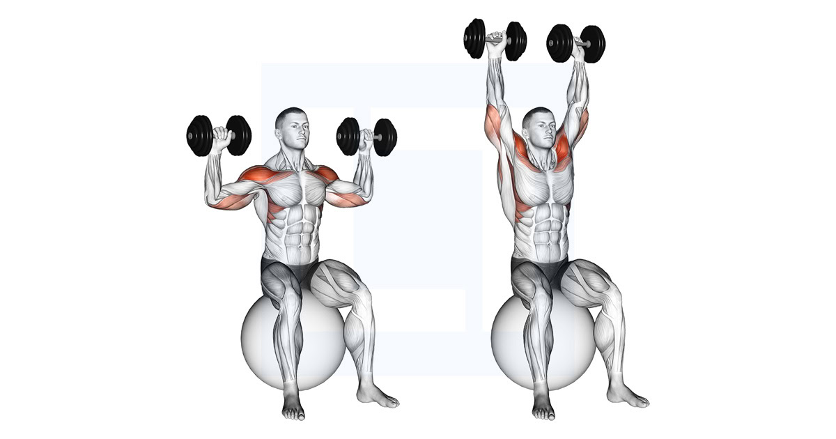 Dumbbell Seated on Exercise Ball Shoulder Press