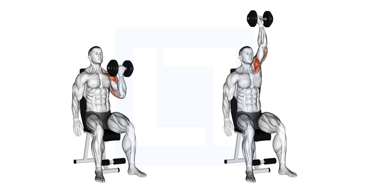 Dumbbell Seated One Arm Arnold Press