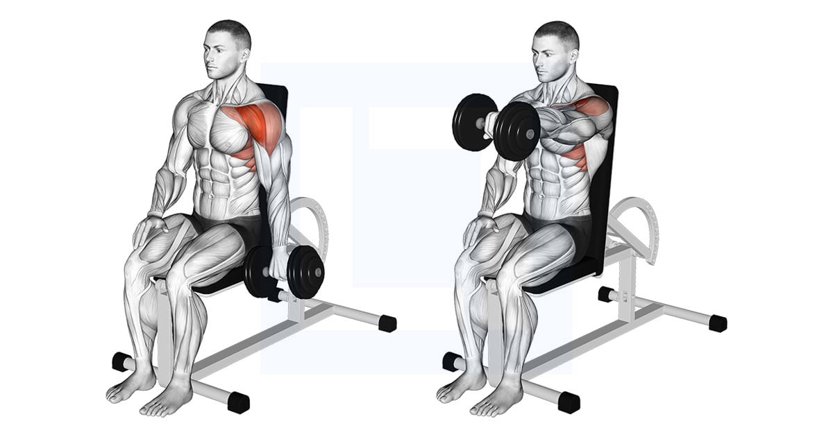 Dumbbell Seated One Arm Front Raise