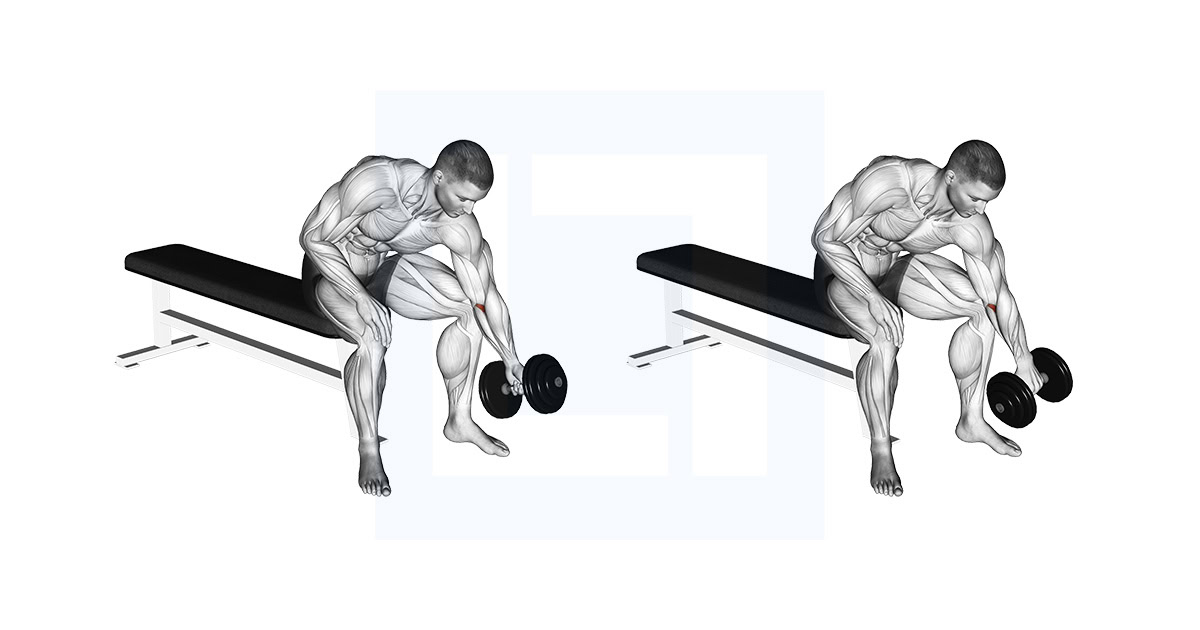 Dumbbell Seated One Arm Rotate