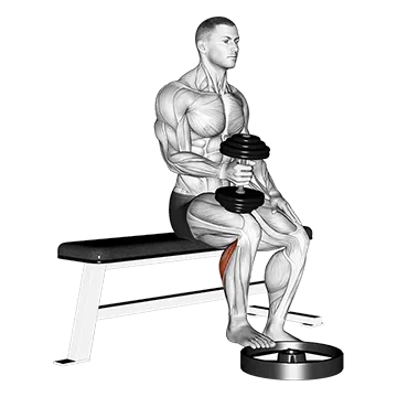 Best Dumbbell Calf Workouts Dumbbell Seated One Leg Calf Raise Hammer Grip