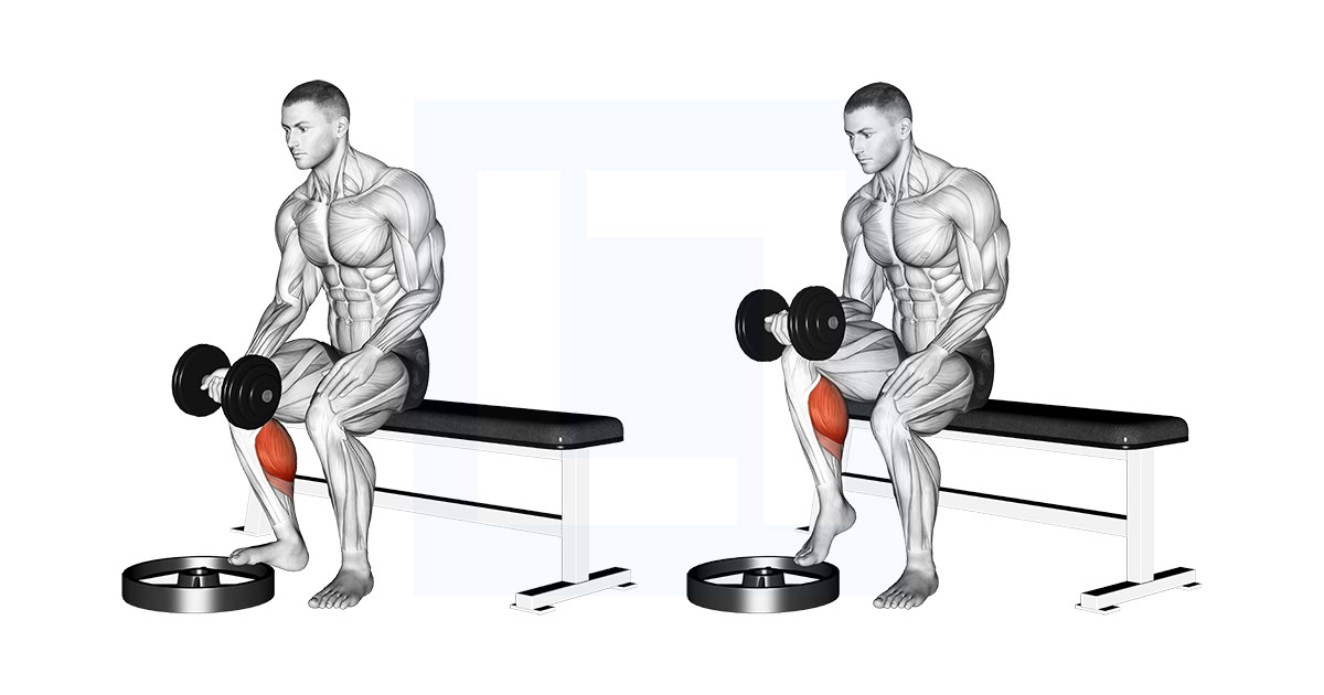 Dumbbell Seated One Leg Calf Raise Palm Up