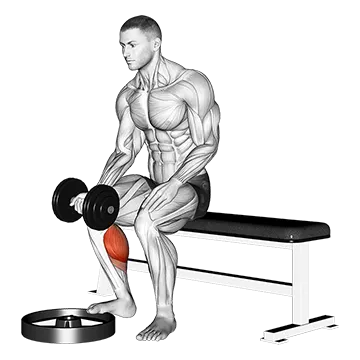 Best Dumbbell Calf Workouts Dumbbell Seated One Leg Calf Raise Palm Up
