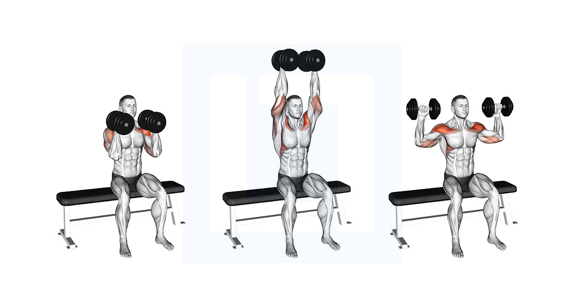 Dumbbell Seated Reverse Arnold Press