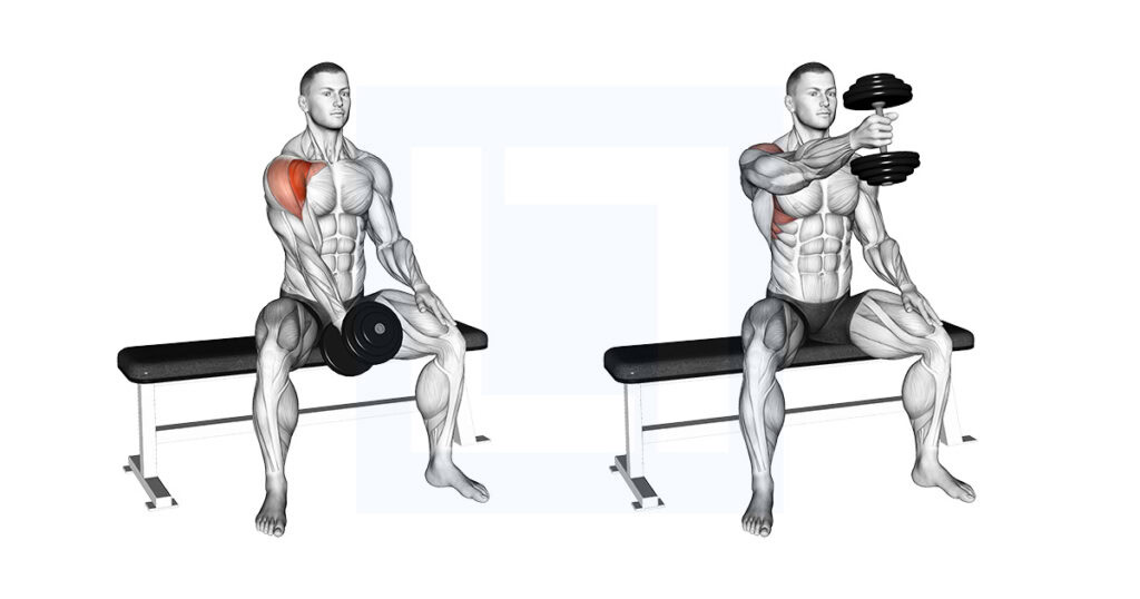 Dumbbell Seated Single Arm Front Raise: Strict Shoulder