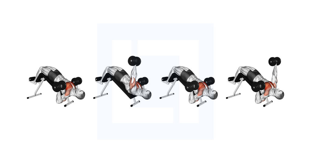 DB Alt Decline Bench: Lower Pec + Core