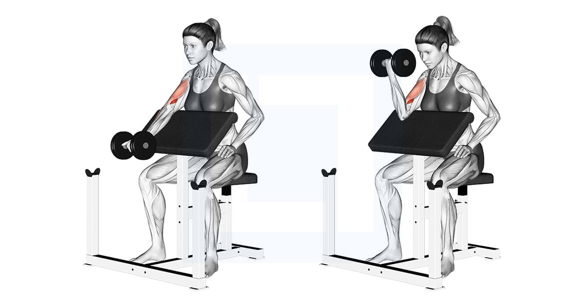Dumbbell Single Arm Preacher Curl