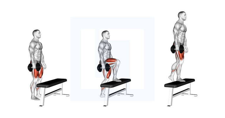 Dumbbell Single Leg Step Up on Bench Exercise Guide