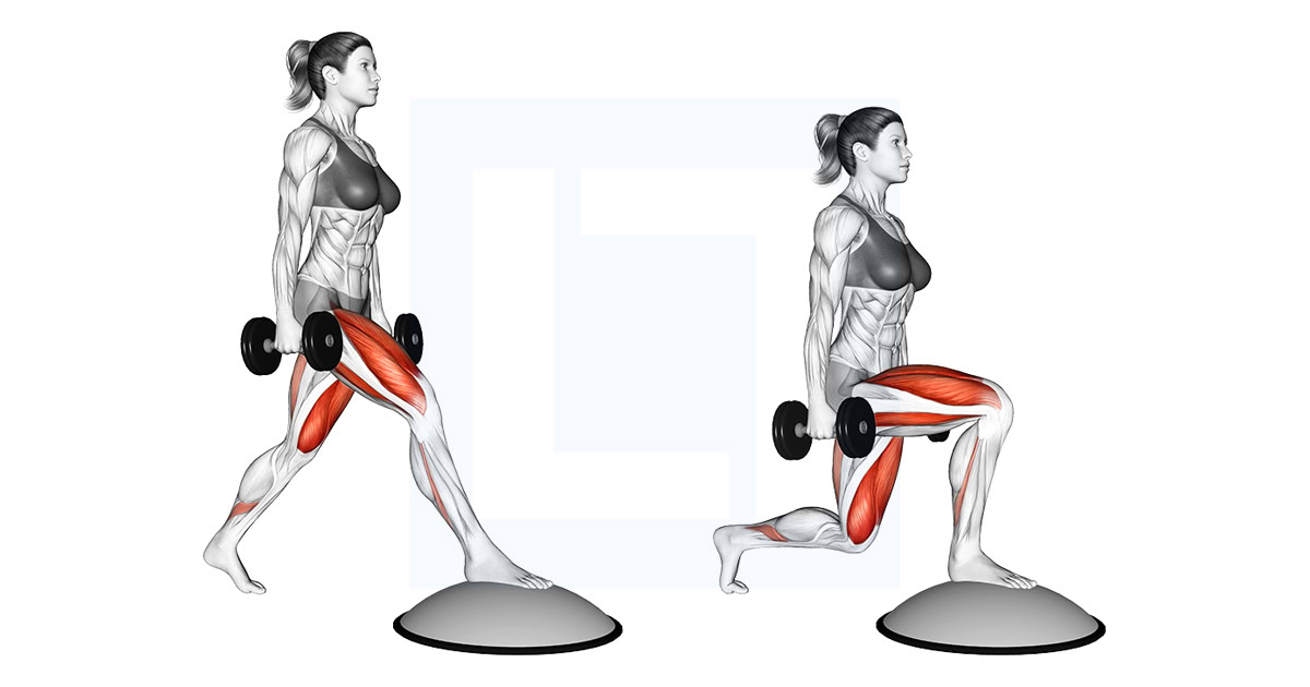 Dumbbell Split Squat Front Foot Elevated with Bosu Ball