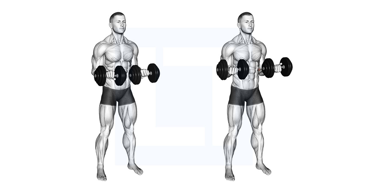 Dumbbell Standing Arms Rotate