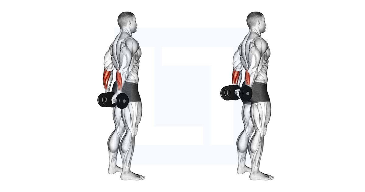 Dumbbell Standing Back Wrist Curl