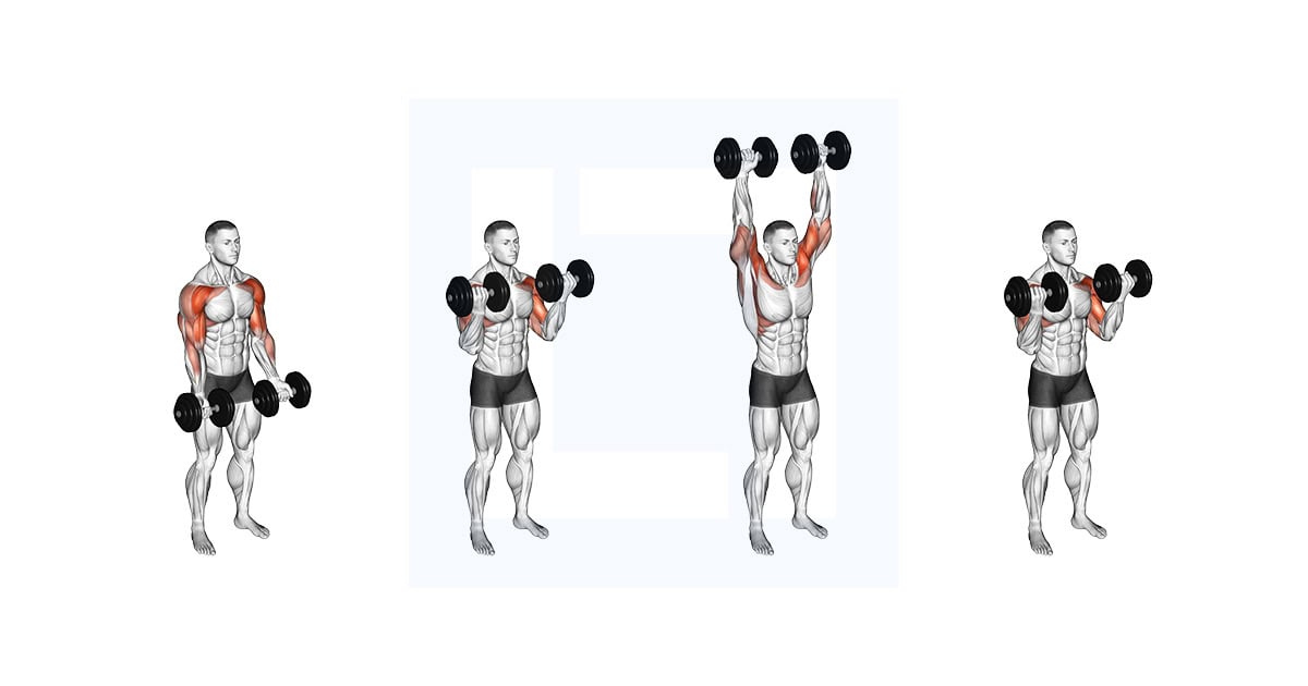 Dumbbell Standing Biceps Curl To Shoulder Press