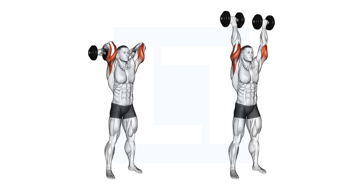 Dumbbell Standing French Press