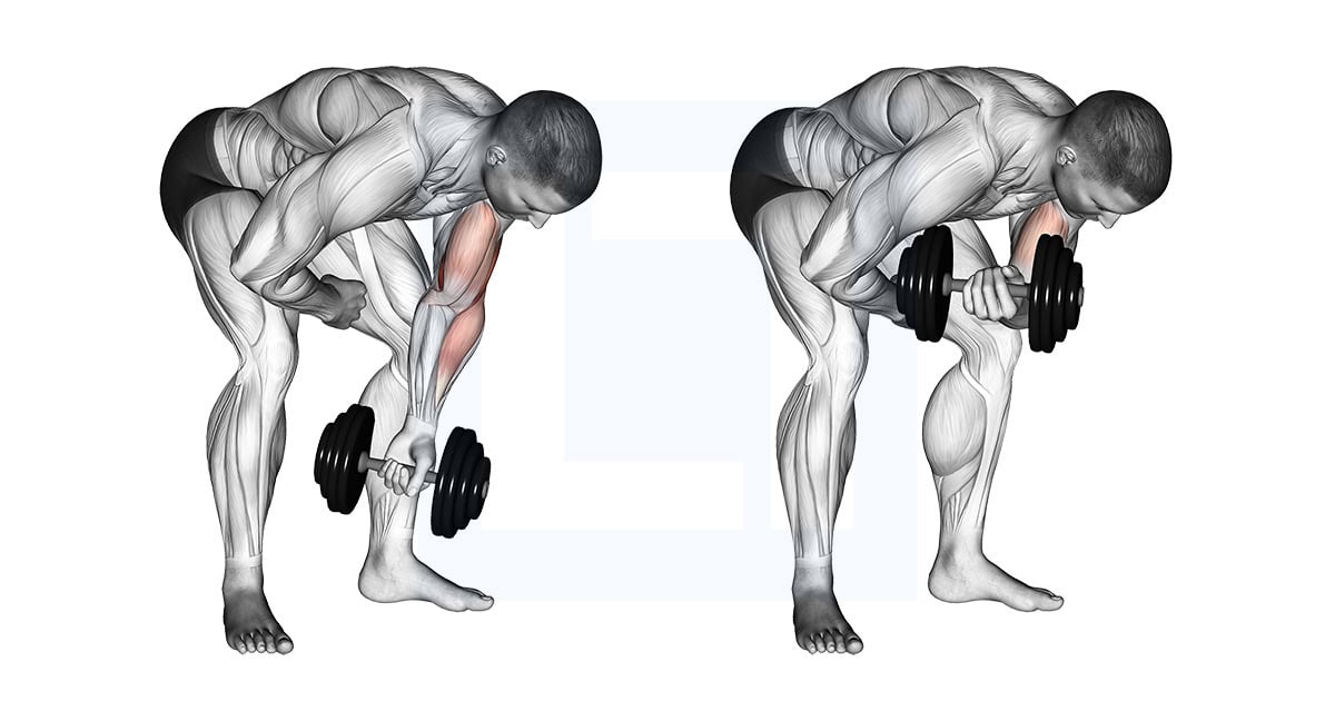Dumbbell Standing One Arm Concentration Curl