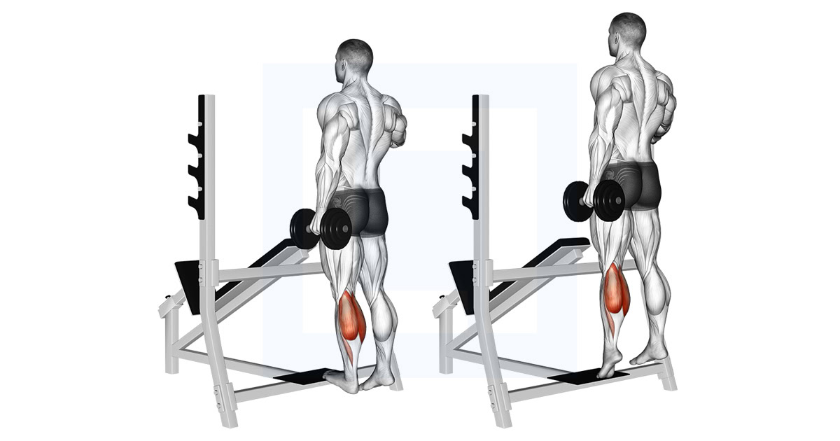 Dumbbell Standing Single Leg Calf Raise