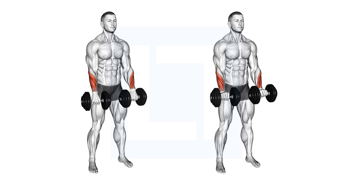 Dumbbell Standing Wrist Reverse Curl