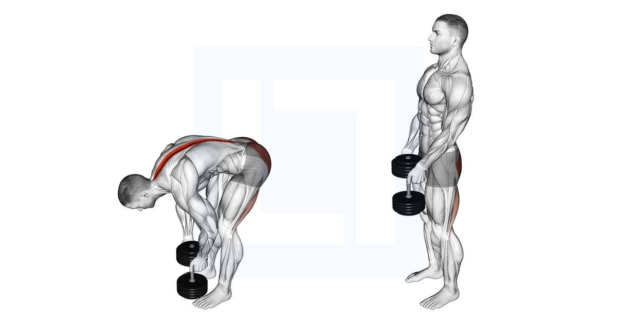 Dumbbell Straight Legs Deadlift