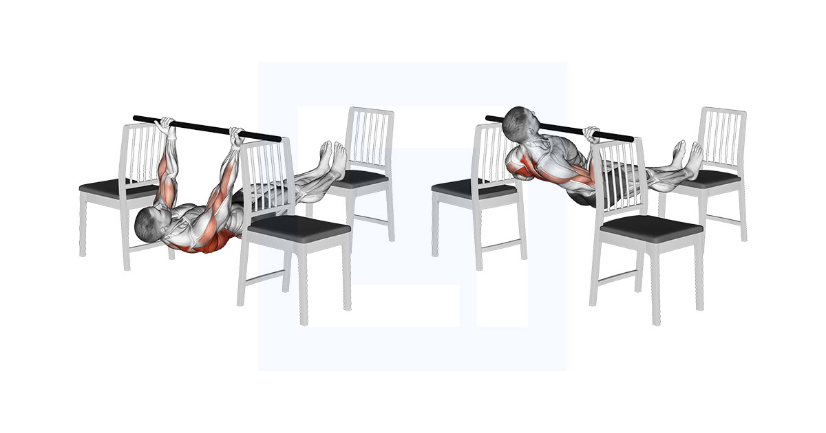 Elevated Inverted Underhand Grip Row Between 3 Chairs