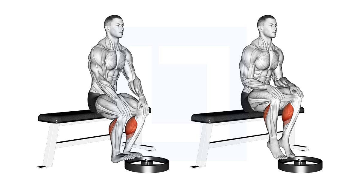 Elevated Seated Calf Raise