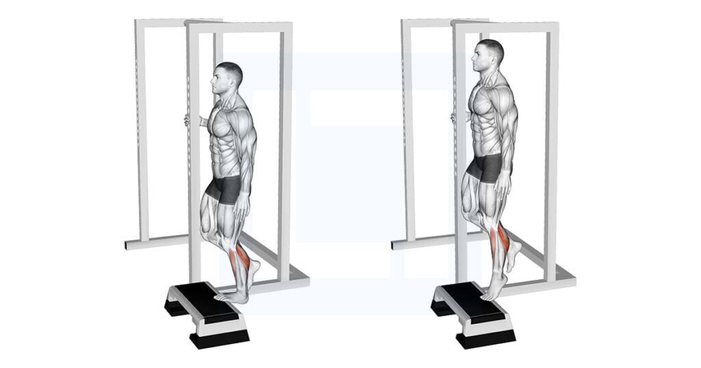 Elevated Standing Single Leg Calf Raise