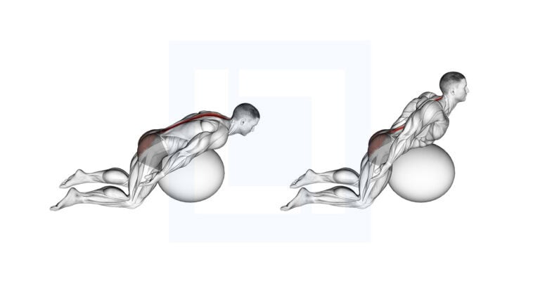 Ex Ball Back Extension Arms Extended
