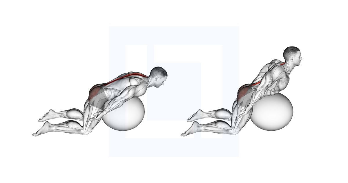 Exercise Ball Back Extension with Arms Extended