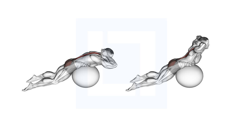 Ex Ball Back Extension Hands Behind