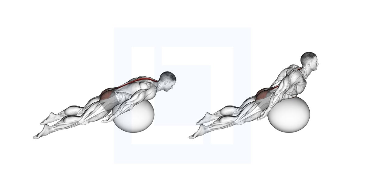 Exercise Ball Back Extension with Knees Off Ground