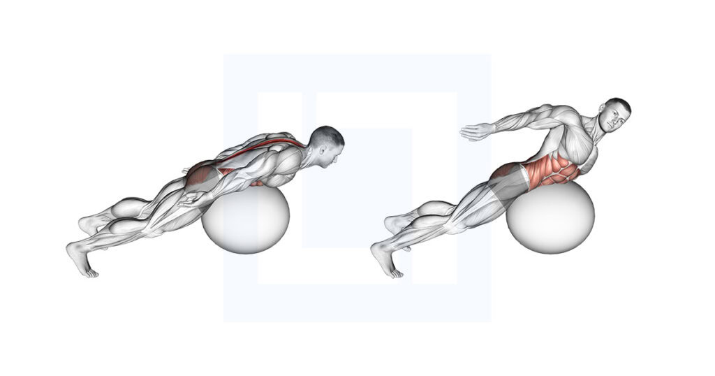 Ex Ball Back Extension with Rotation