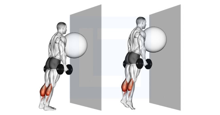 Ex Ball on the Wall Calf Raise