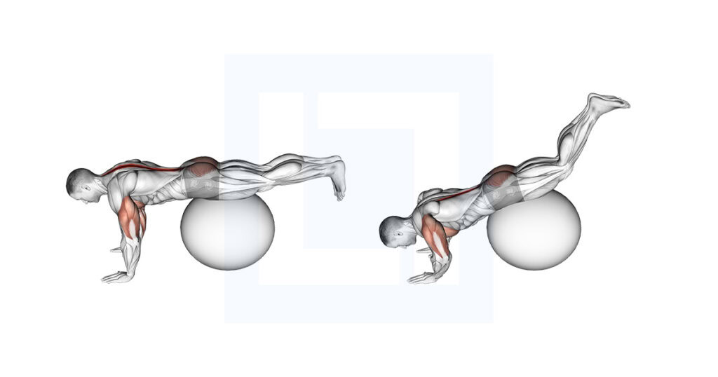 Exercise Ball Prone Leg Raise Guide