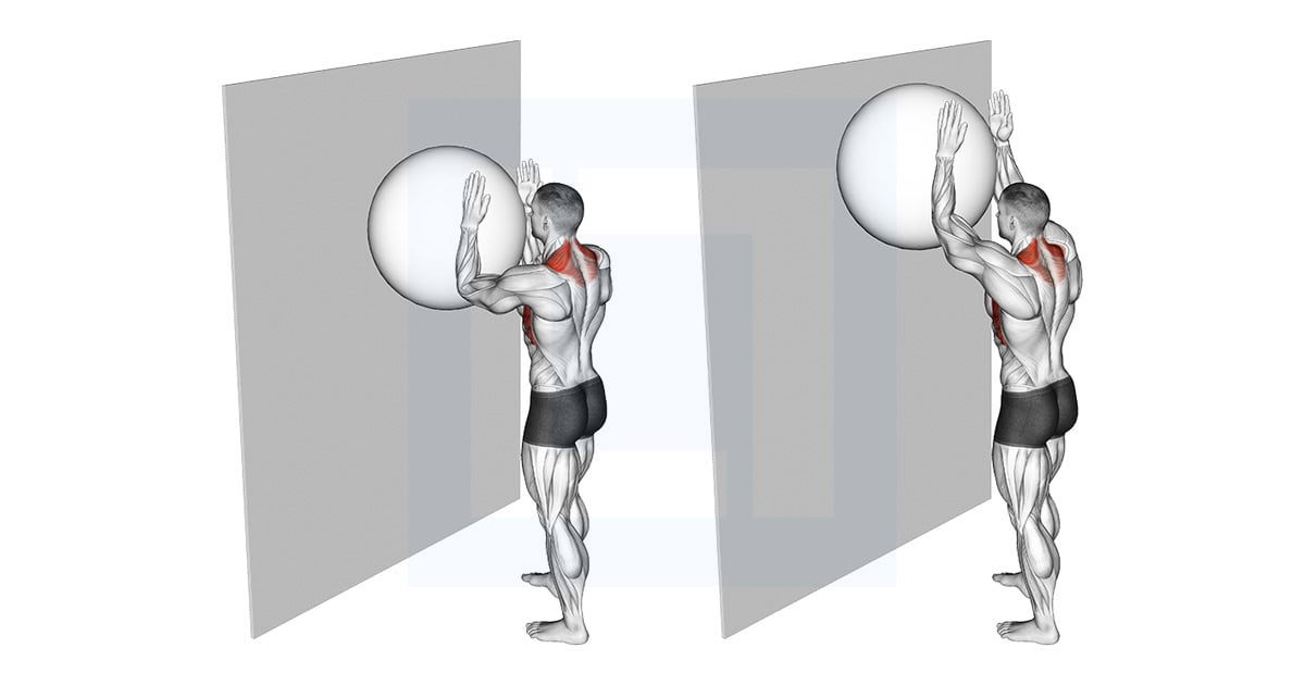 Exercise Ball Serratus Wall Slide