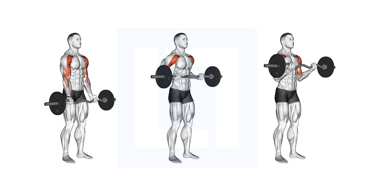 EZ-Bar Drag Bicep Curl