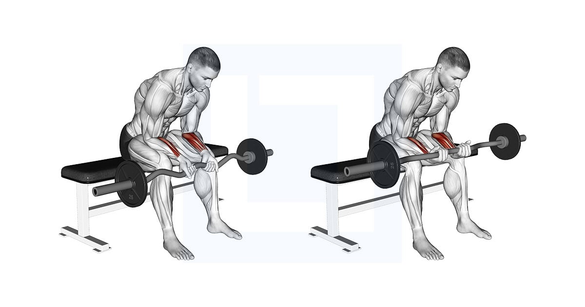 EZ-Bar Seated Wrist Curl