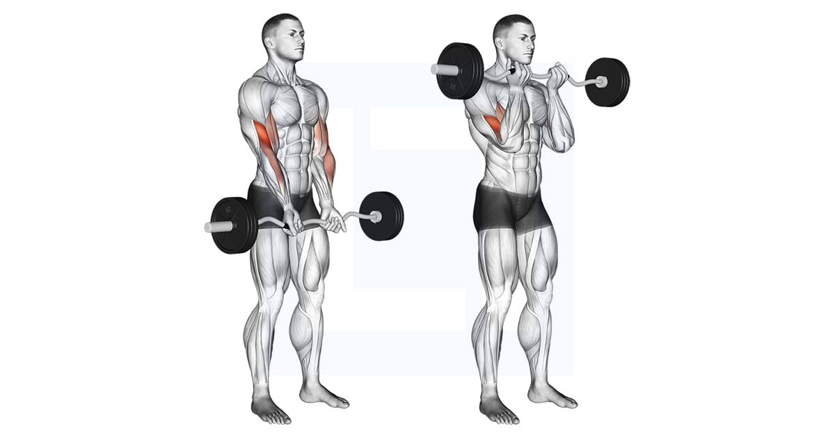EZ Barbell Close Grip Curl