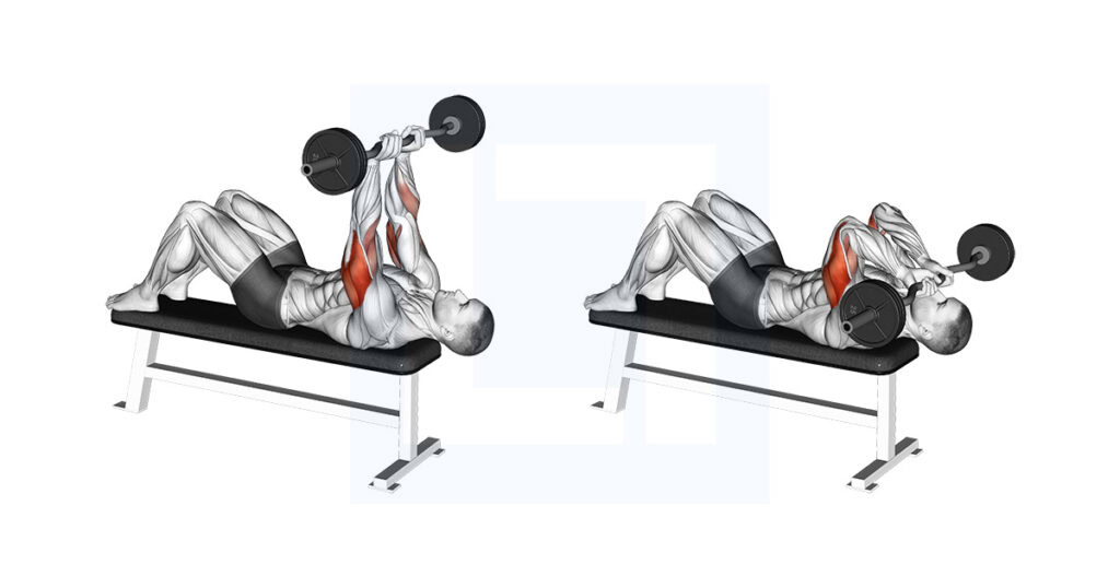 EZ Barbell Decline Close Grip Face Press Guide