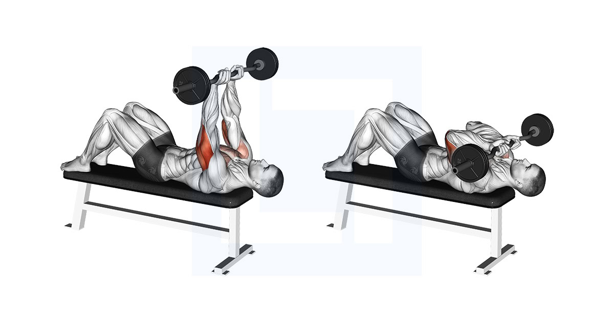 EZ Barbell JM Bench Press