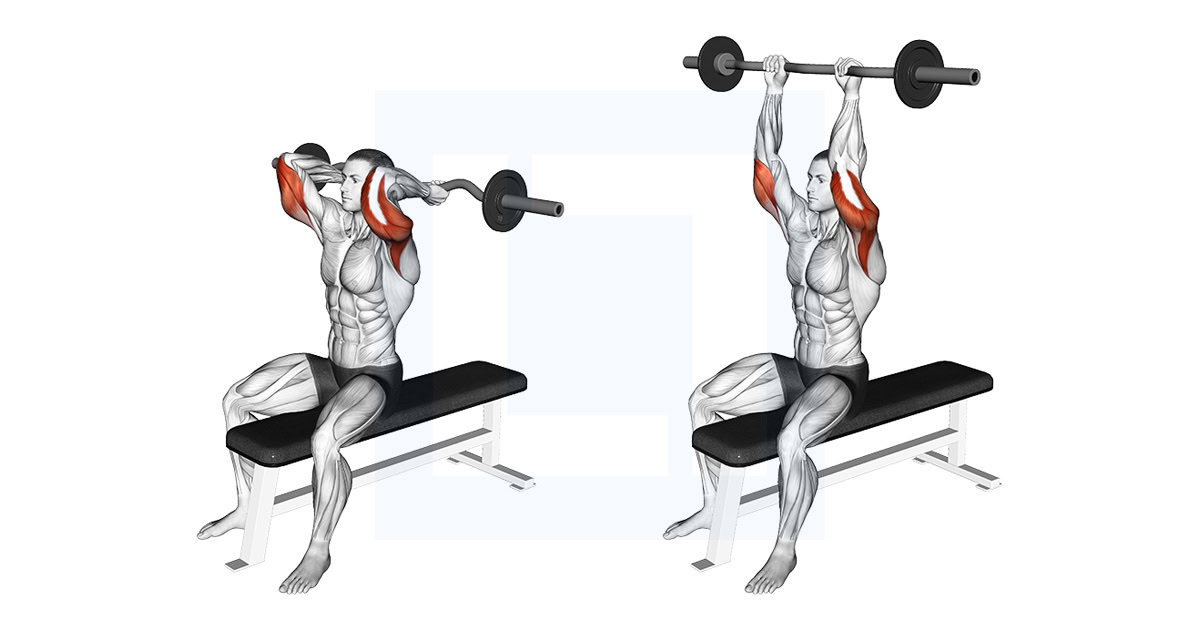 EZ Barbell Seated Triceps Extension