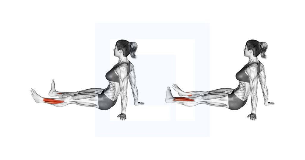 Feet And Ankles Rotation Stretch