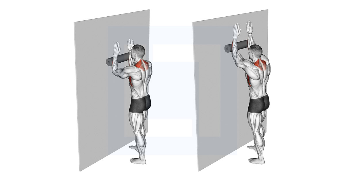Push Up Exercise Guide Form And Visual
