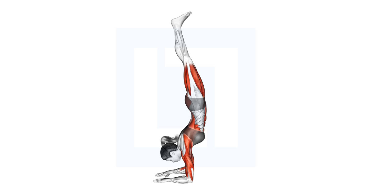 Forearms Stand Yoga Pose Pincha Mayurasana