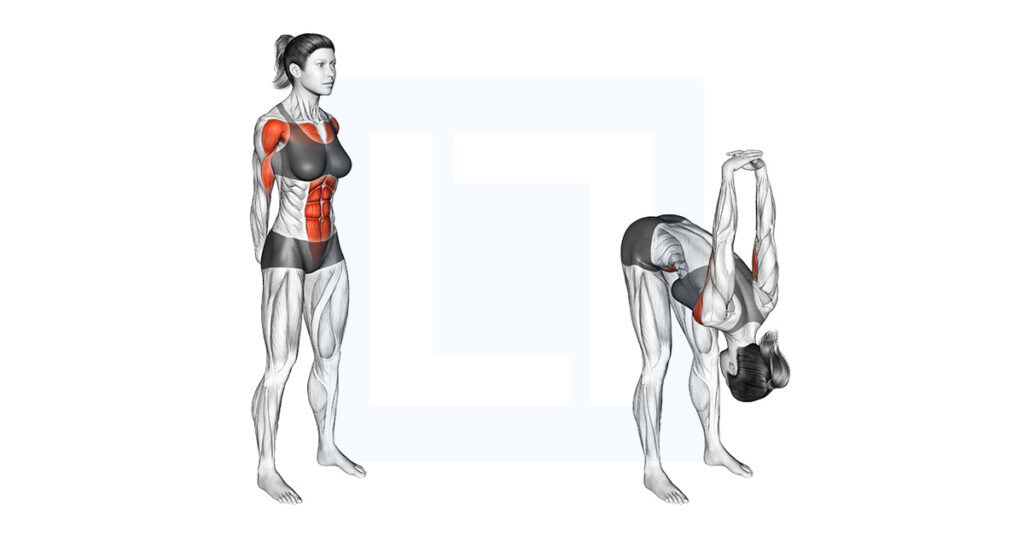 Forward Bend Back Stretch