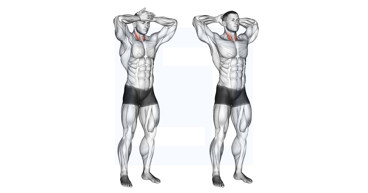 Front and Back Neck Stretch