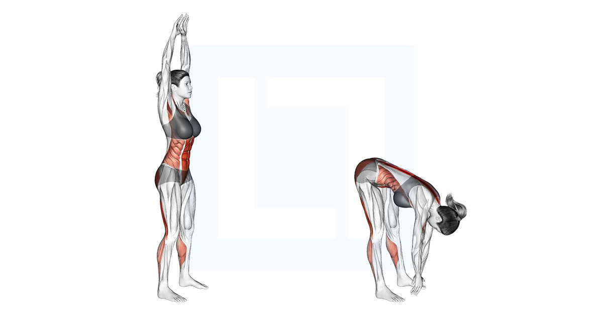 Front Toe Touching