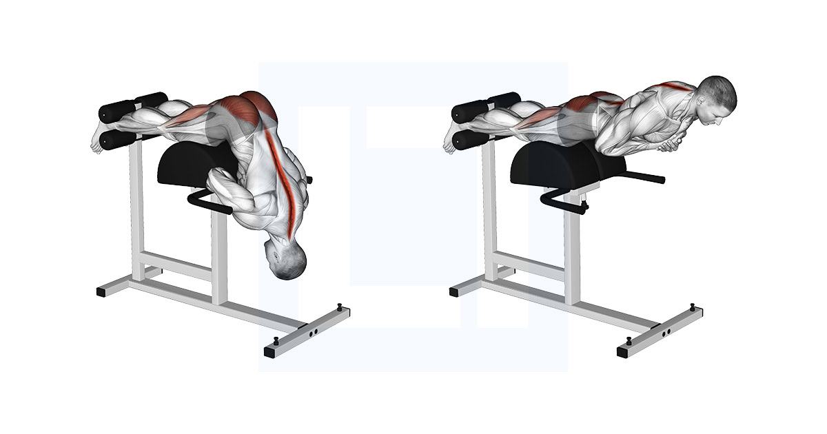 Glute Ham Developer Hip Extension