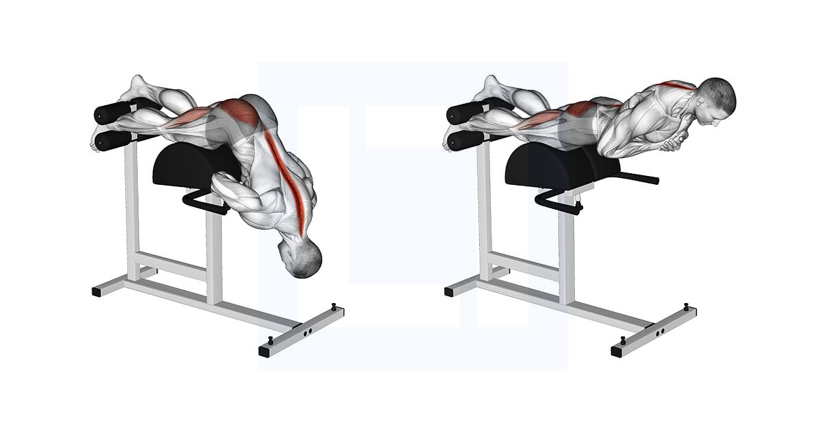 Glute Ham Single Leg Hyperextension
