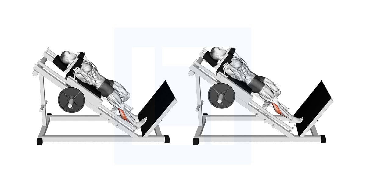 Hack One Leg Calf Raise