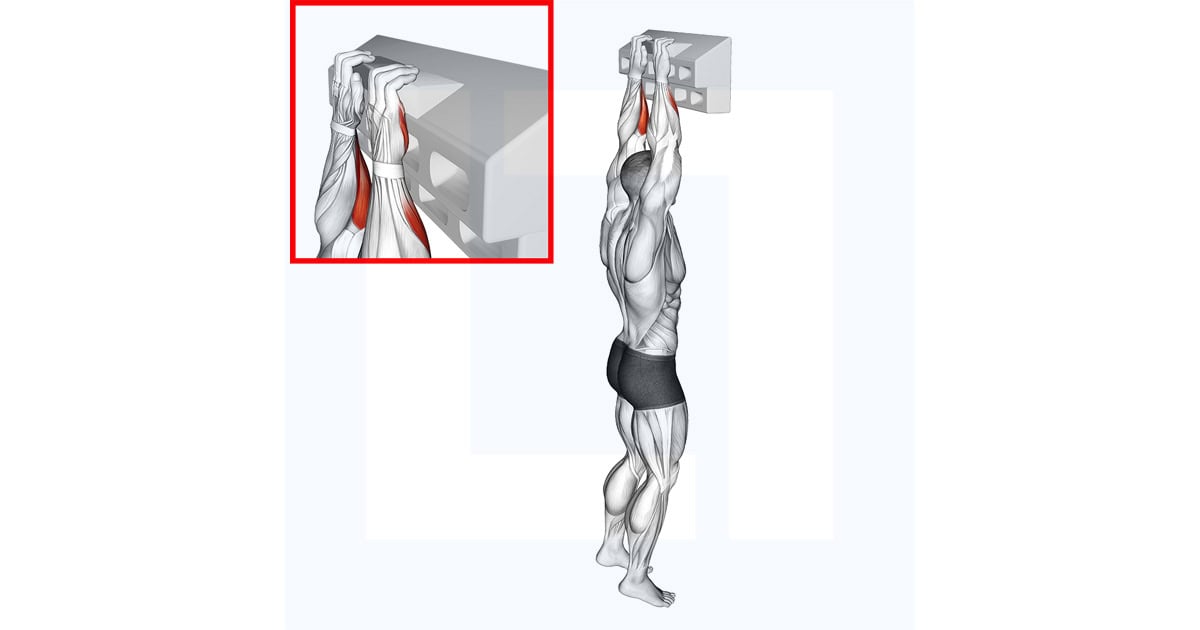 Hangboard Half Crimp