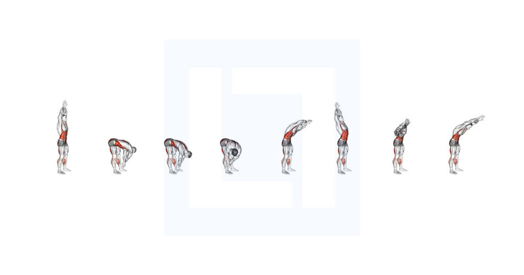Toe Touch Classification Hands Reversed Clasped Toe Touch Guide