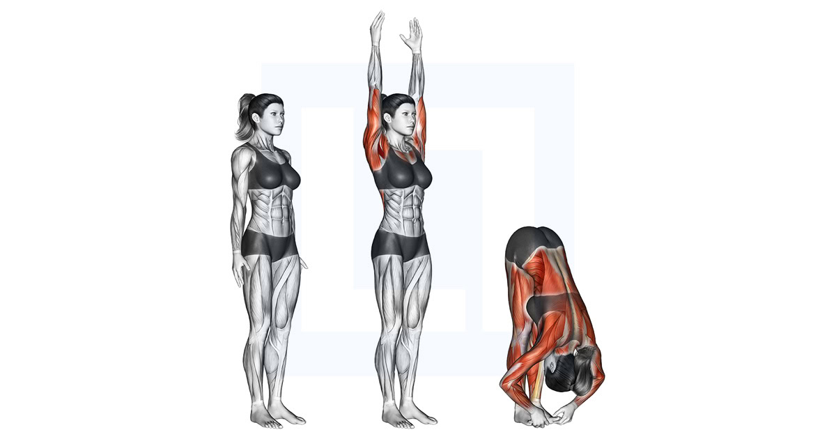 Hands to Feet Pada Hastasana